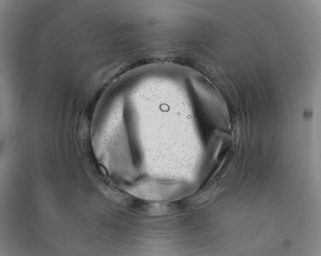 X0000090880623200708171647