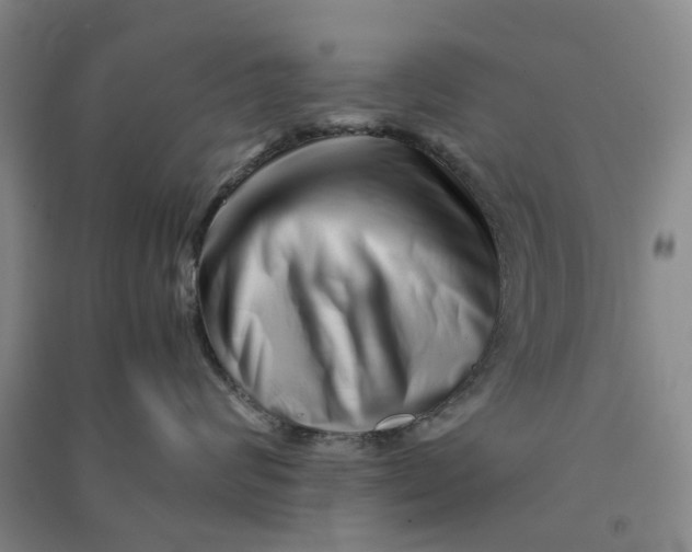 X0000090880624200708171647