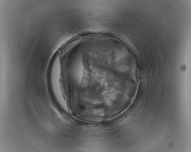 X0000090880626200708171646