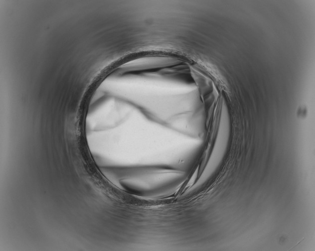 X0000090880628200708171646