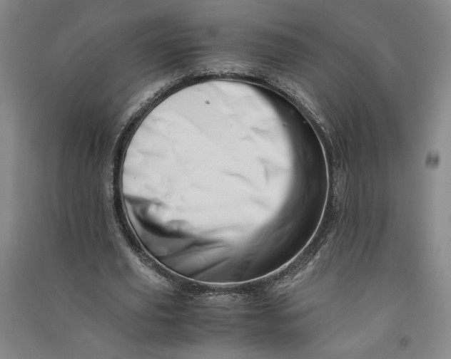 X0000090880629200708171646