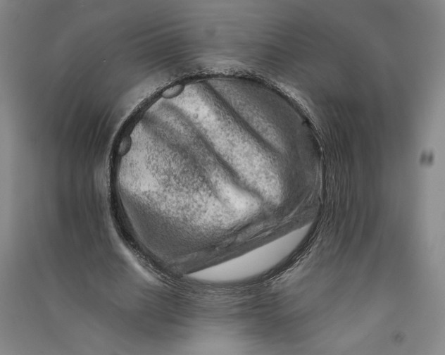 X0000090880630200708171646