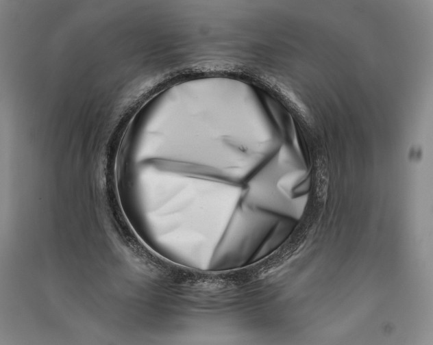 X0000090880631200708171646