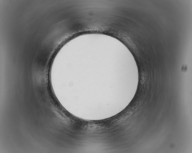 X0000090880632200708171646