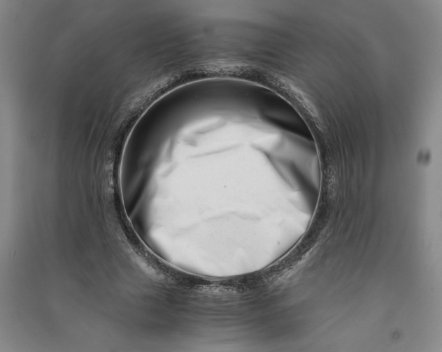 X0000090880633200708171646