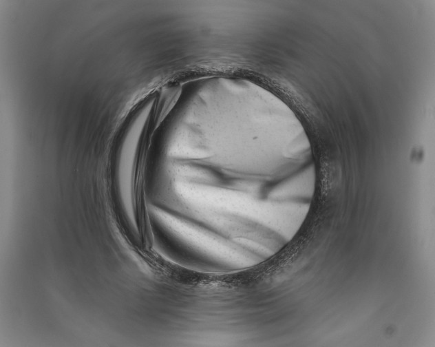 X0000090880634200708171646