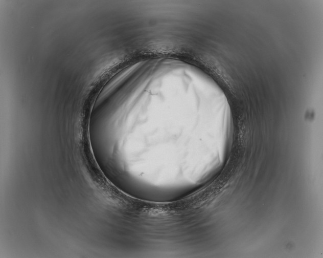 X0000090880635200708171646