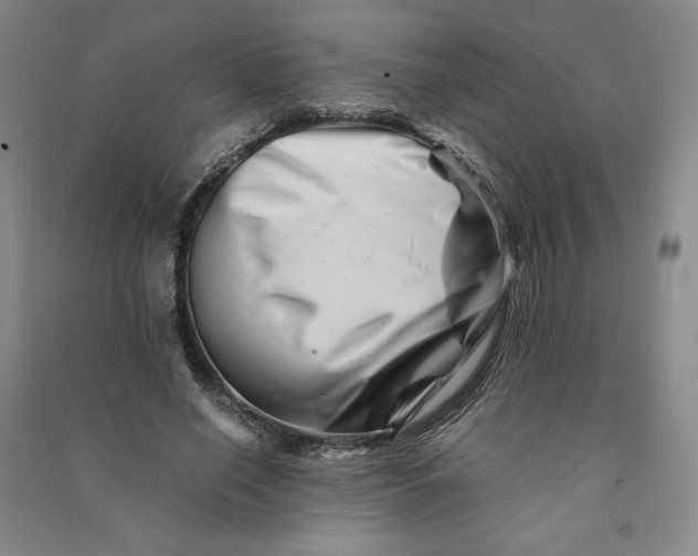 X0000090880638200708171646