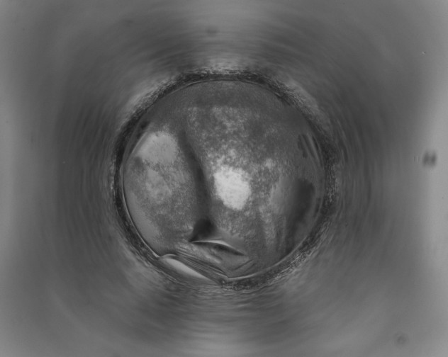 X0000090880640200708171646