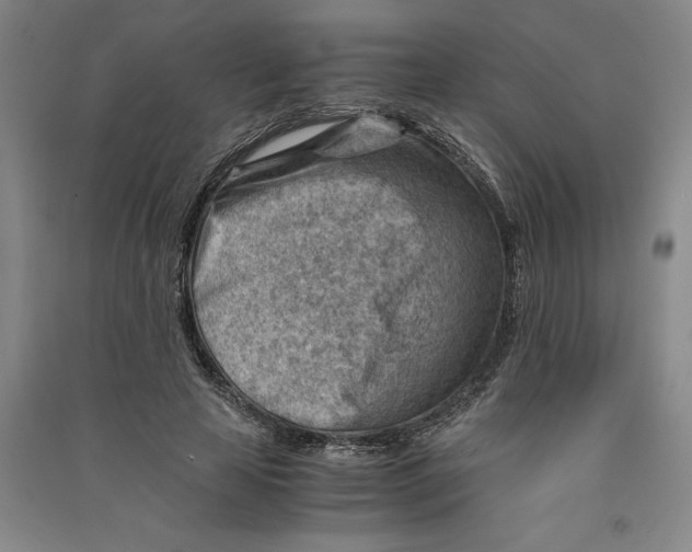 X0000090880641200708171646