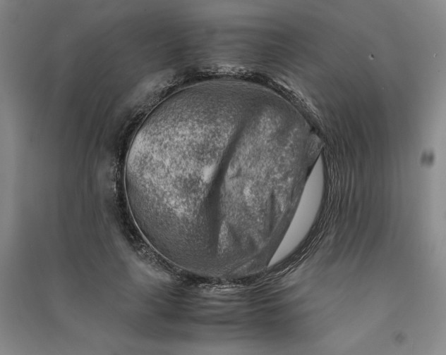 X0000090880643200708171646