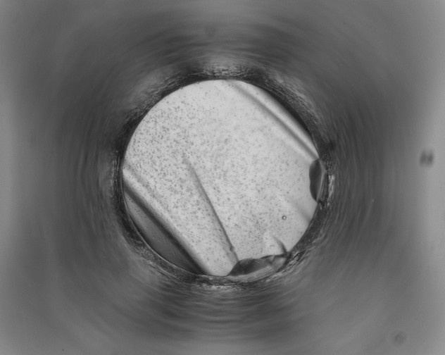 X0000090880645200708171646