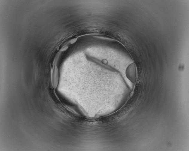 X0000090880646200708171646