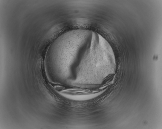 X0000090880647200708171646