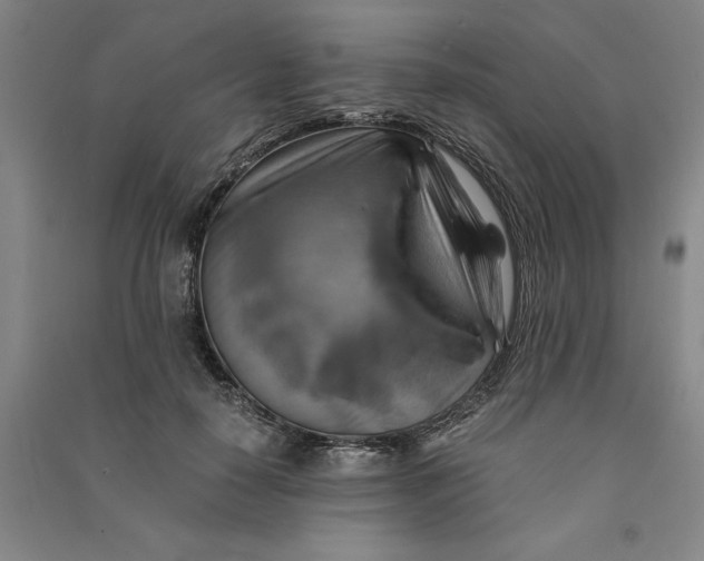 X0000090880650200708171646