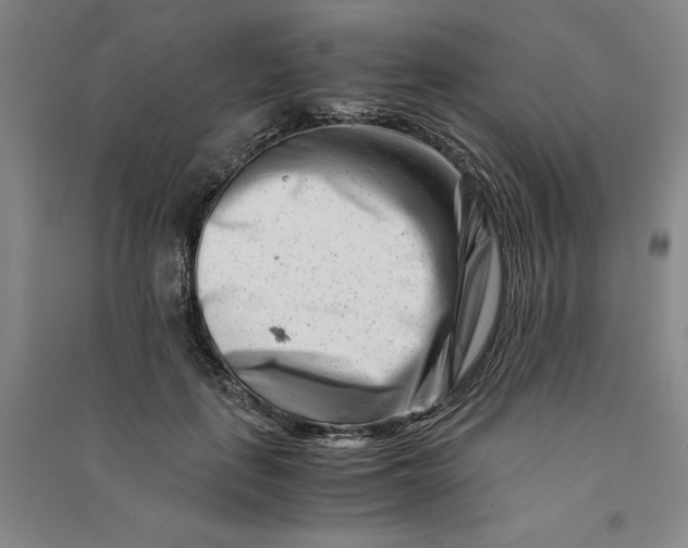 X0000090880651200708171646