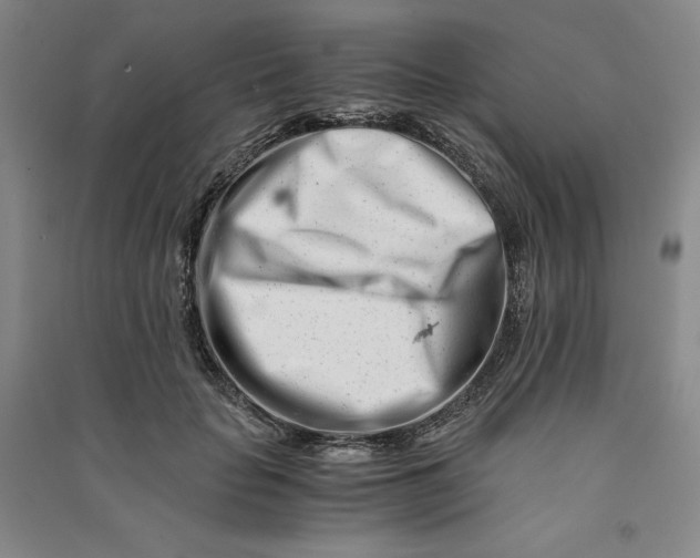 X0000090880653200708171646