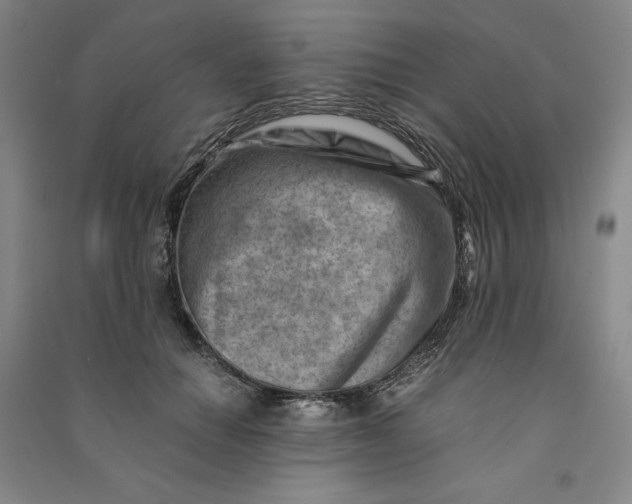 X0000090880654200708171646