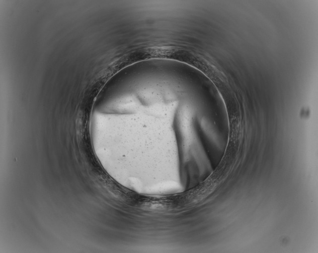 X0000090880655200708171646