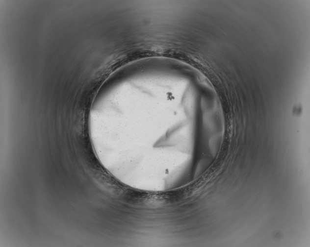 X0000090880656200708171646