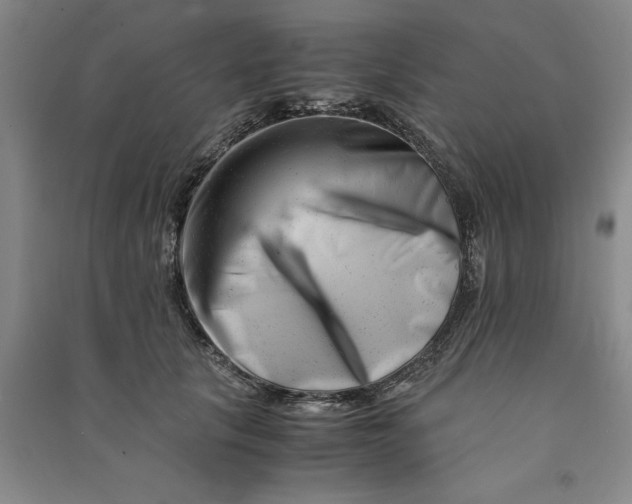 X0000090880657200708171646