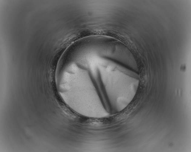 X0000090880658200708171646