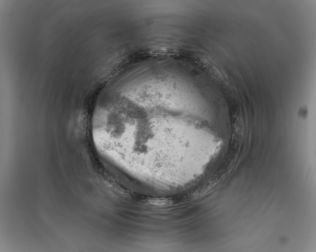 X0000090880659200708171646