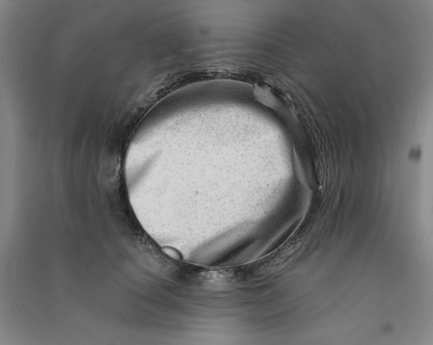 X0000090880660200708171646