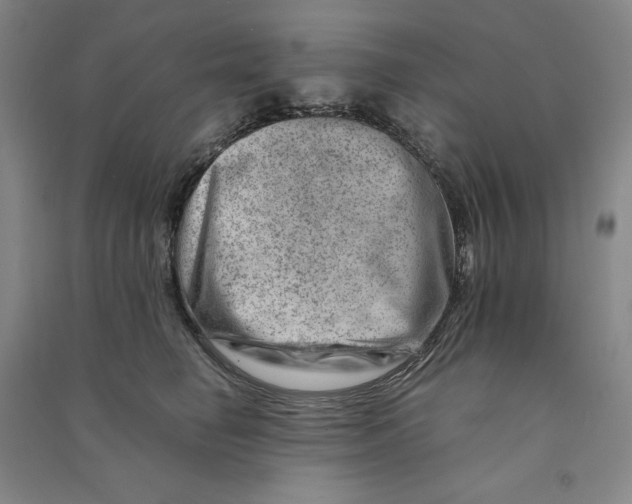 X0000090880662200708171646