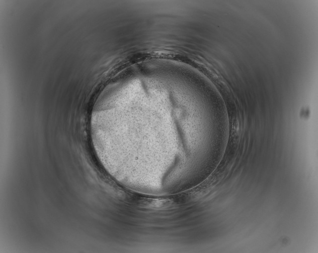 X0000090880663200708171646