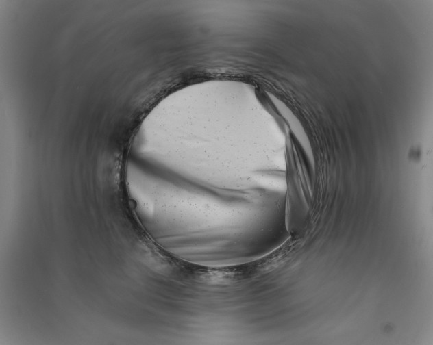 X0000090880664200708171646