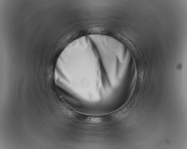 X0000090880665200708171646