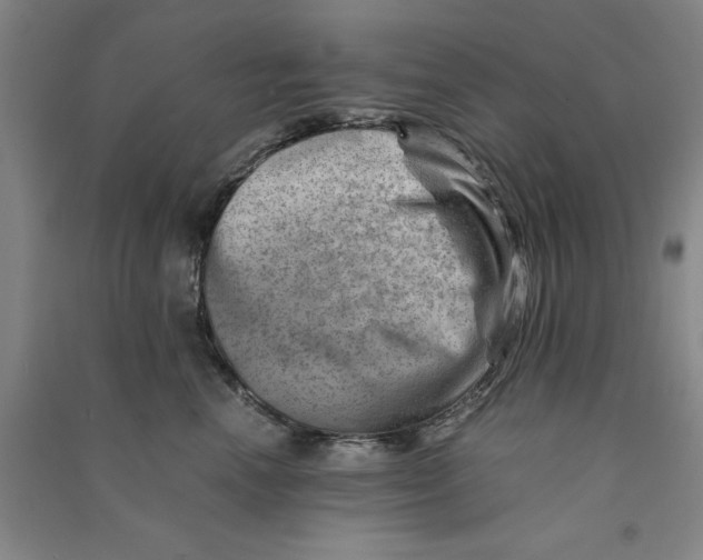 X0000090880666200708171646