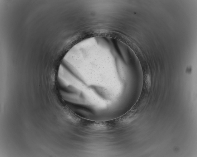 X0000090880668200708171647