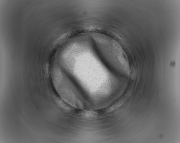 X0000090880670200708171647