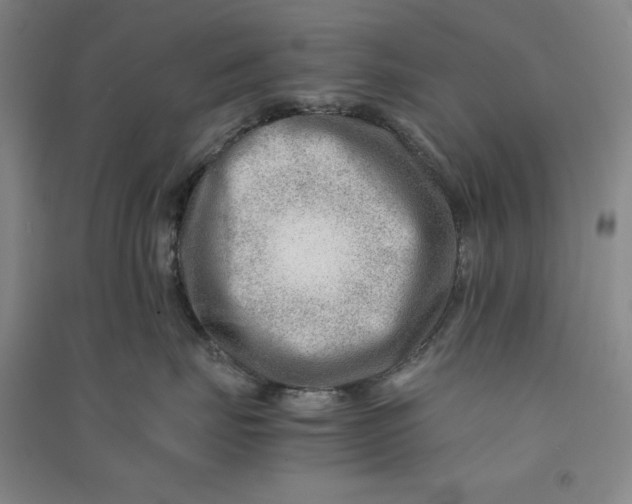 X0000090880671200708171647