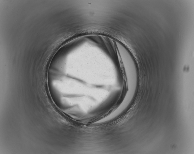 X0000090880673200708171646