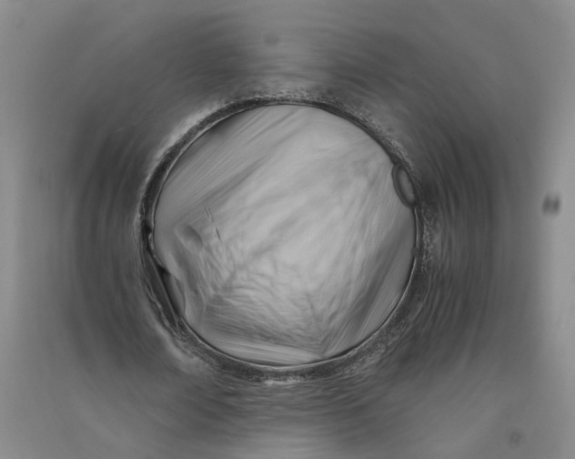 X0000090880674200708171646