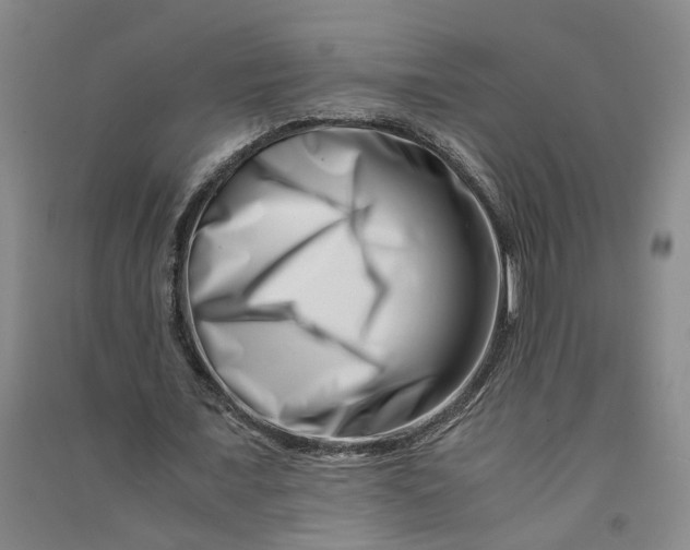 X0000090880675200708171646