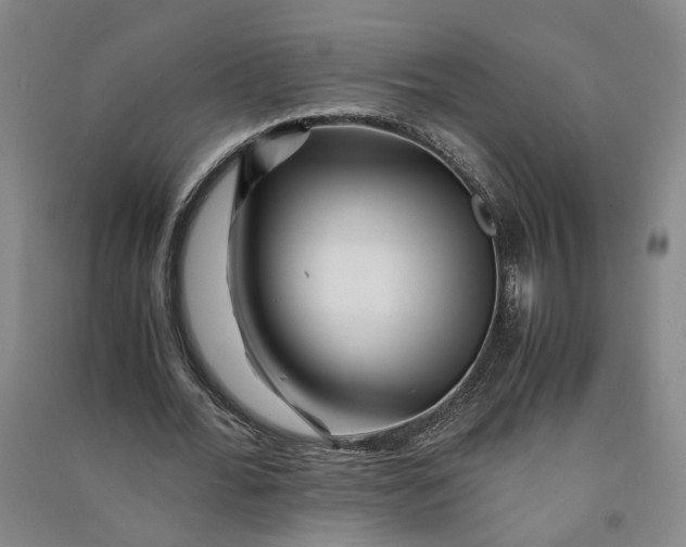 X0000090880676200708171646