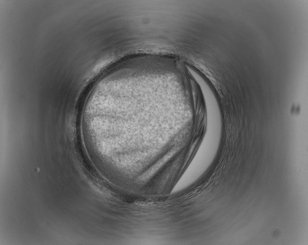 X0000090880679200708171646