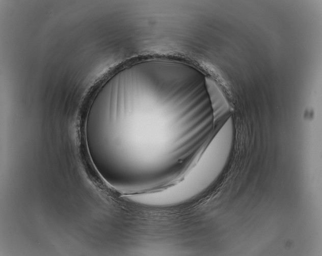 X0000090880680200708171646