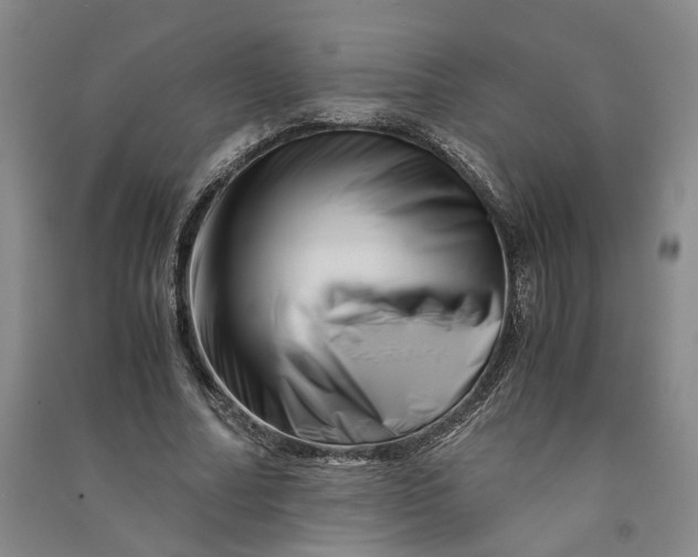 X0000090880682200708171646