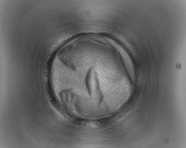 X0000090880683200708171646