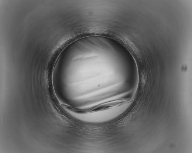 X0000090880684200708171646