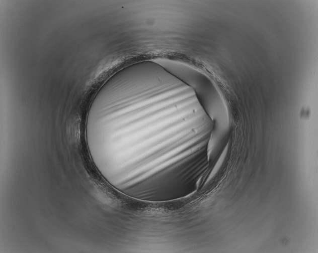 X0000090880685200708171646