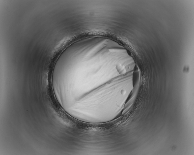 X0000090880686200708171646