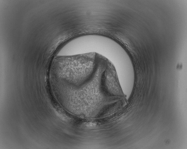 X0000090880687200708171646