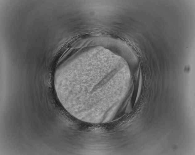 X0000090880689200708171646