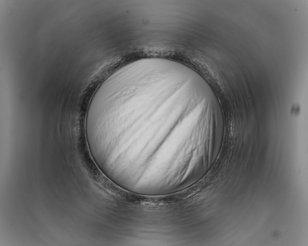 X0000090880690200708171646